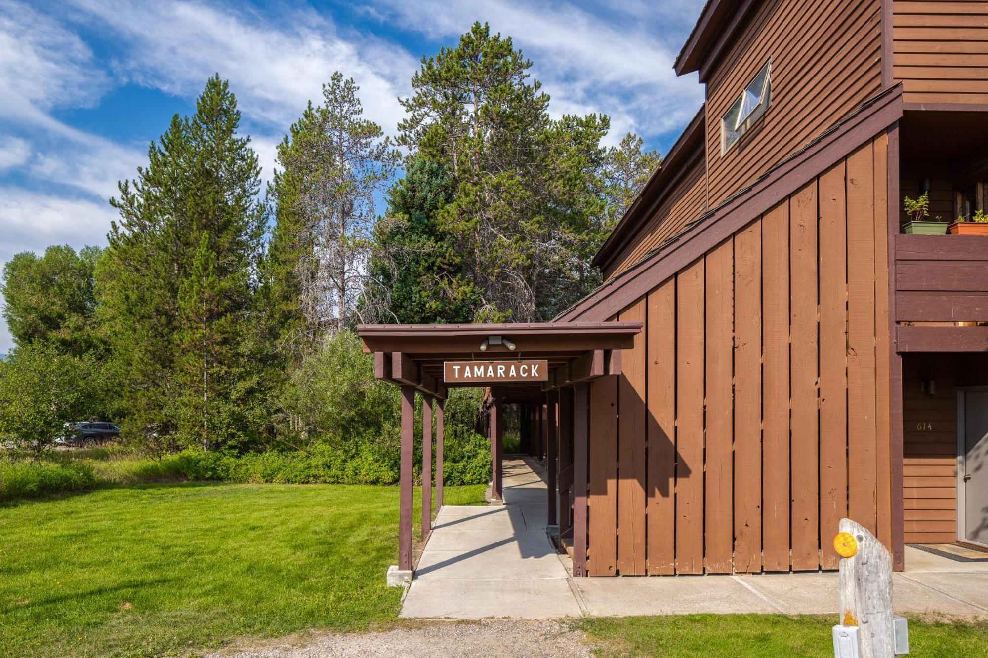Tamarack Wilson Quarto foto