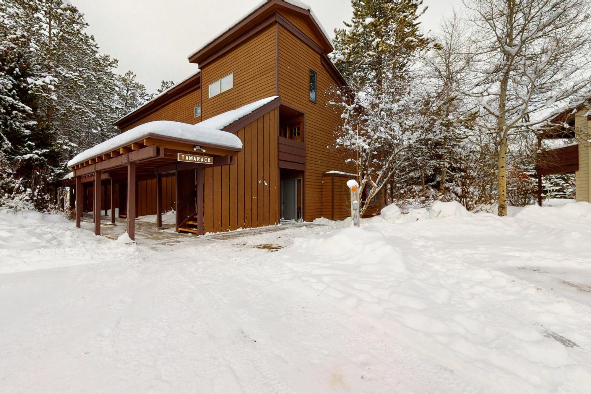 Tamarack Wilson Quarto foto
